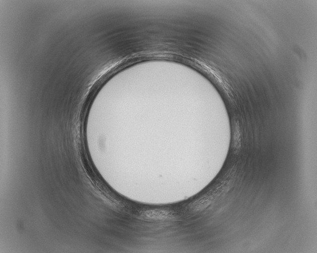 X0000115140535200912081328