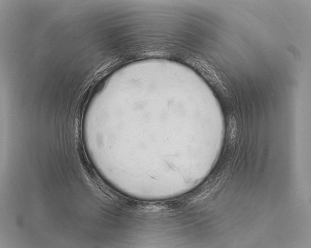 X0000115140542200912081328