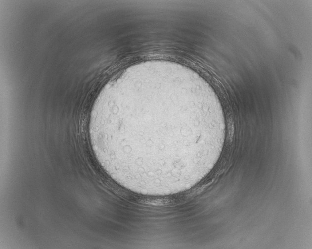 X0000115140567200912081328