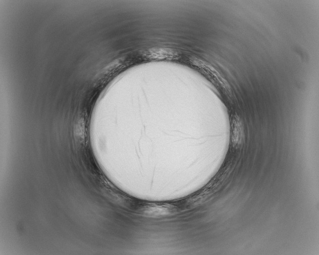 X0000115140569200912081328