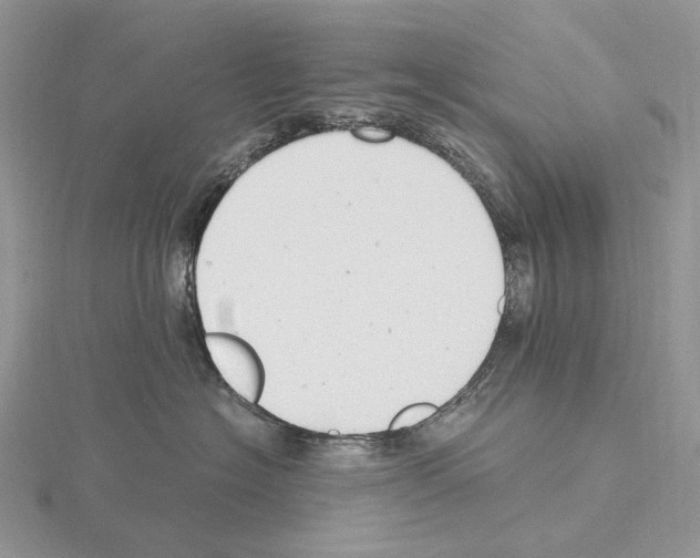 X0000115140574200912081328