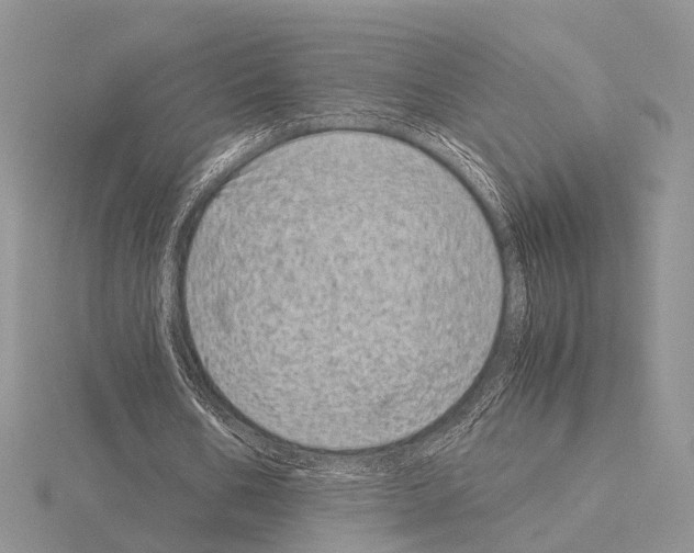 X0000115140578200912081327