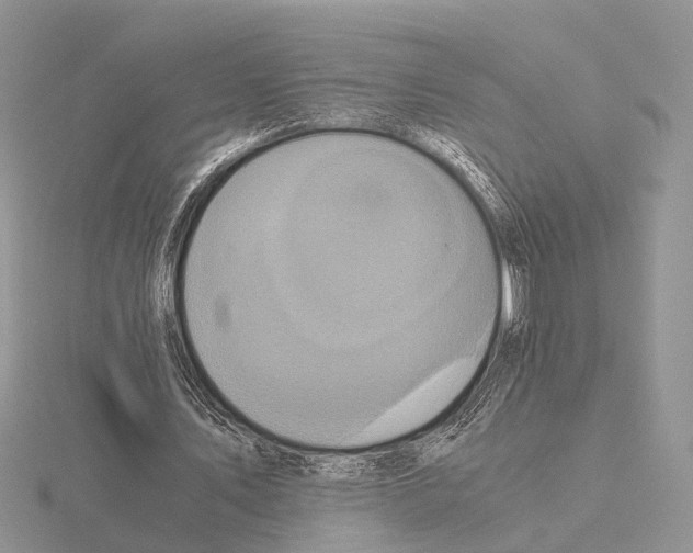 X0000115140579200912081327