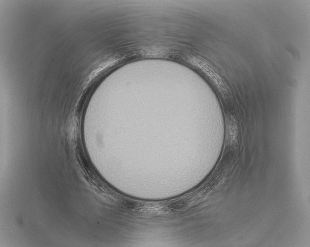 X0000115140583200912081327