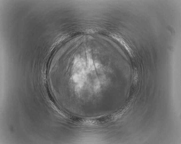 X0000115140585200912081327