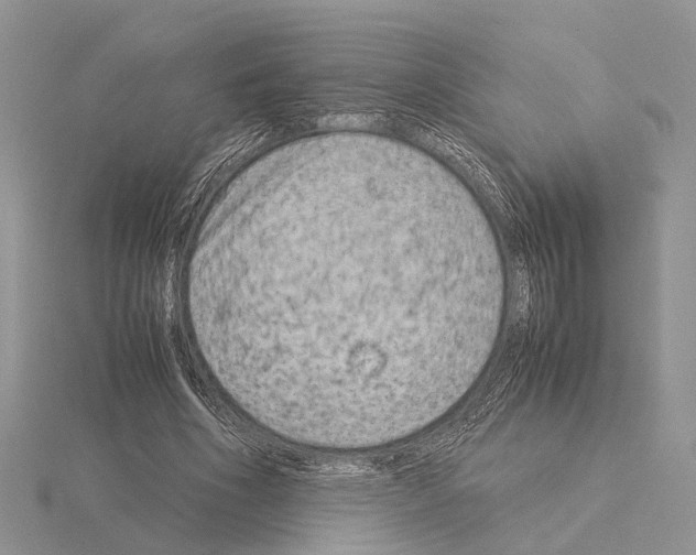 X0000115140586200912081327