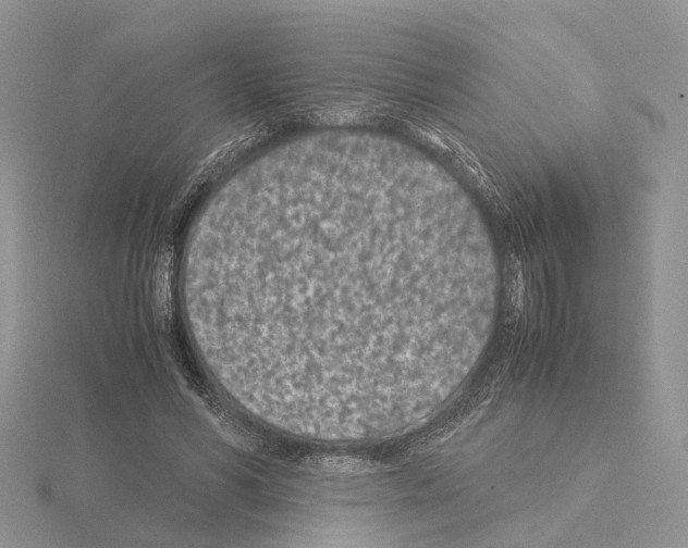 X0000115140590200912081327