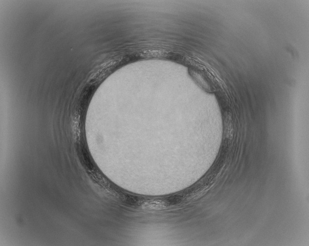 X0000115140599200912081327