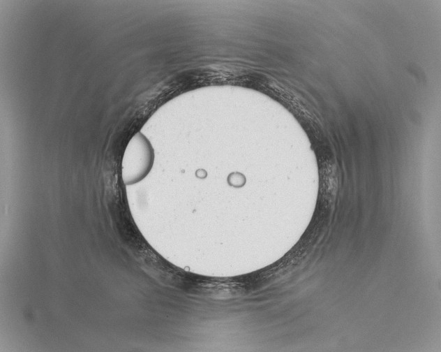 X0000115140615200912081327