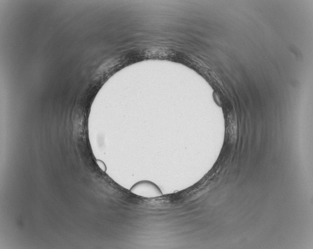 X0000115140619200912081327