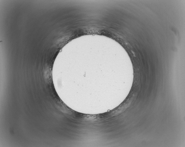 X0000115140624200912081327