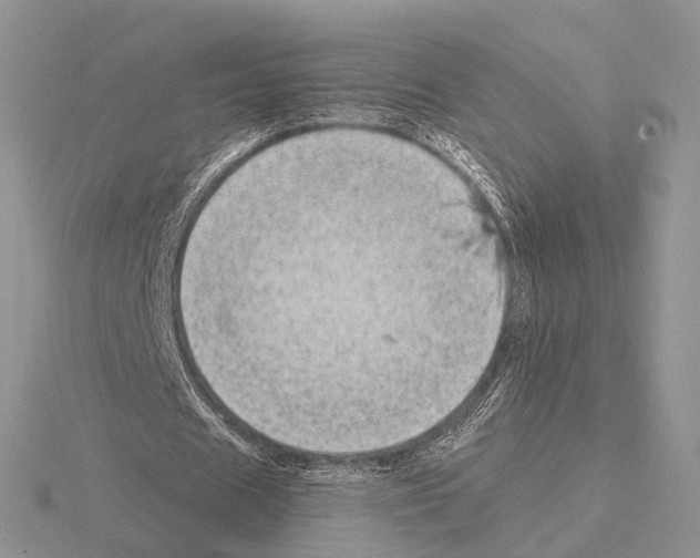 X0000115140625200912081326