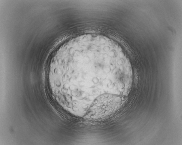 X0000115140626200912081326