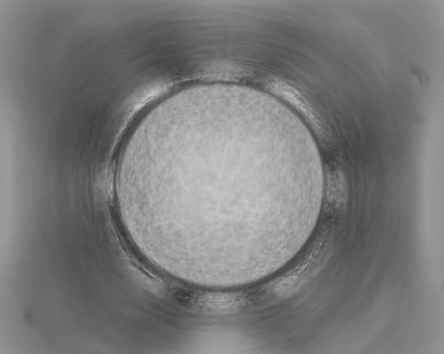 X0000115140632200912081326