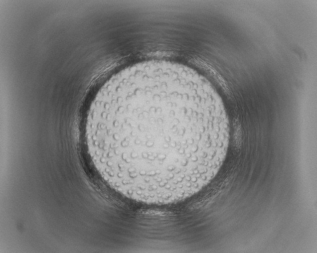 X0000115140635200912081326
