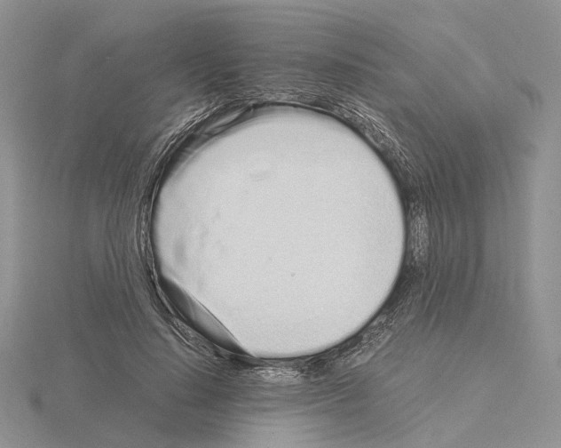 X0000115140644200912081326