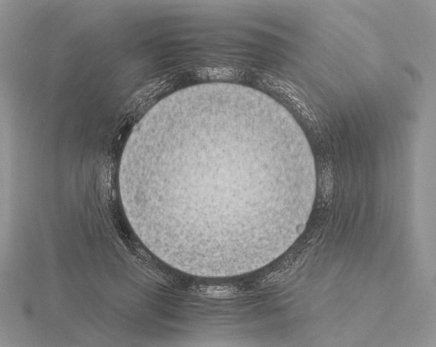 X0000115140645200912081326
