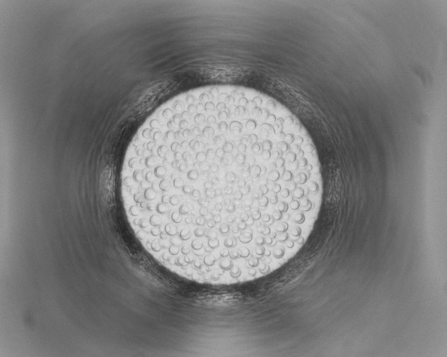X0000115140646200912081326