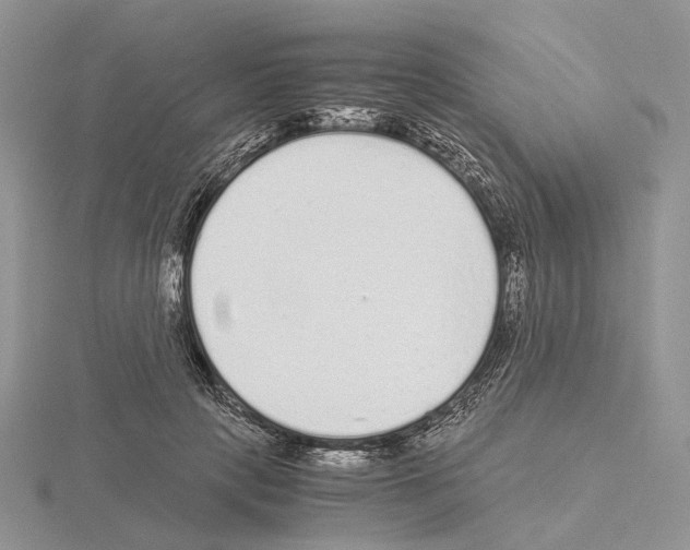 X0000115140649200912081327