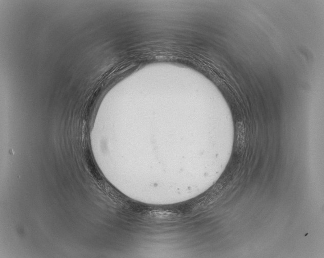 X0000115140650200912081327