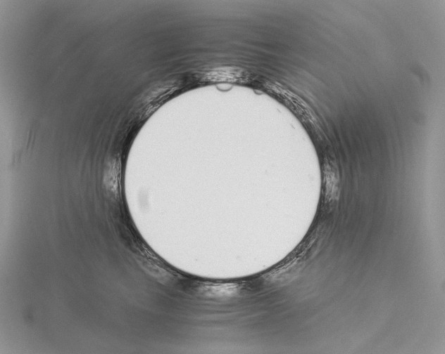 X0000115140665200912081327