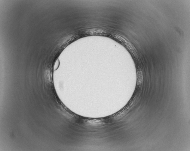X0000115140669200912081327
