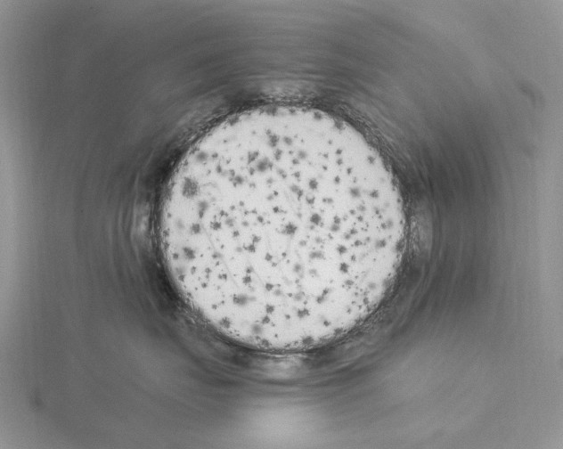 X0000115140671200912081327
