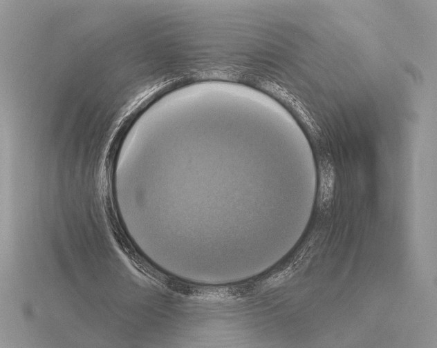 X0000115140674200912081326