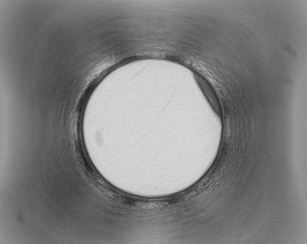 X0000115140679200912081326