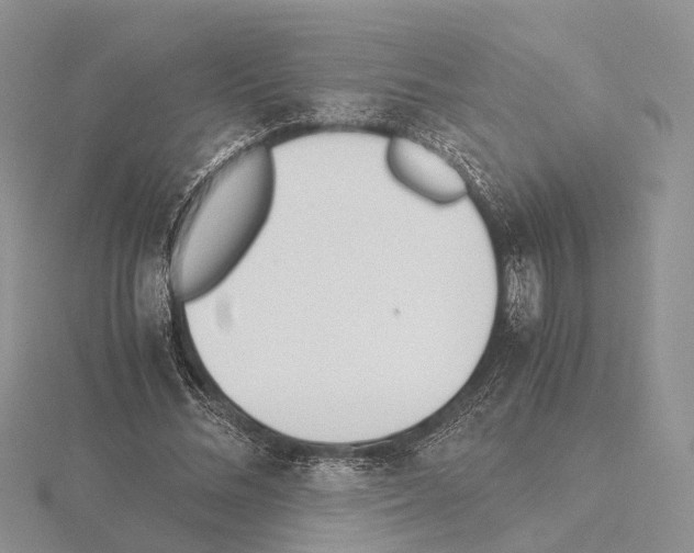 X0000115140684200912081326