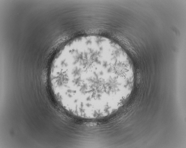 X0000115140687200912081326