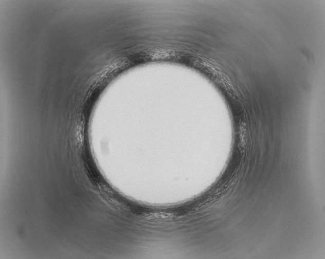 X0000115140691200912081326