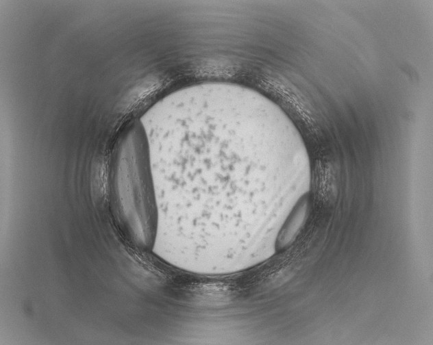 X0000115140692200912081326