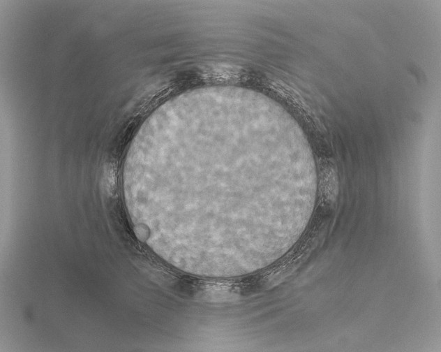 X0000115140709200912081326
