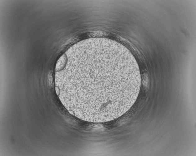 X0000115140715200912081326