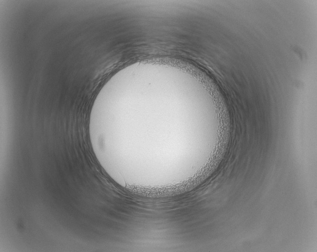 X0000115140720200912081326