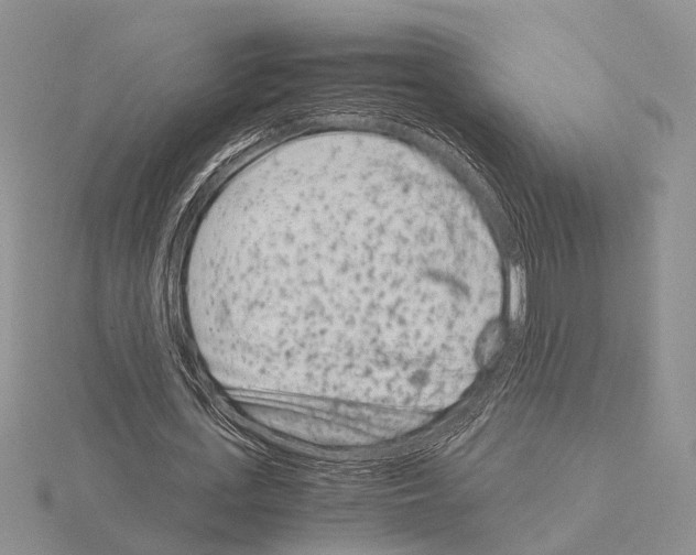 X0000115140723200912081325