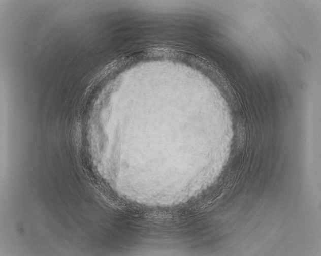 X0000115140729200912081325