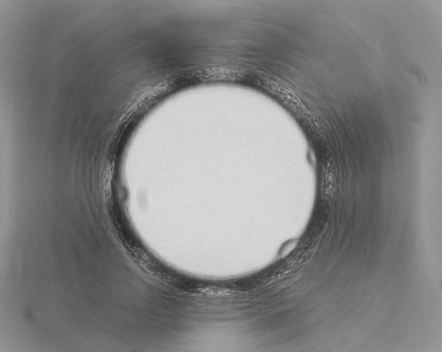 X0000115140742200912081325