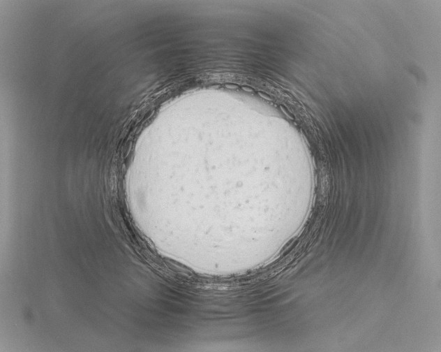 X0000115140751200912081325