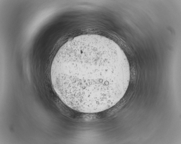 X0000115140762200912081326