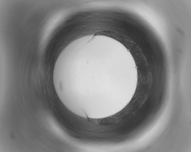 X0000115140766200912081326