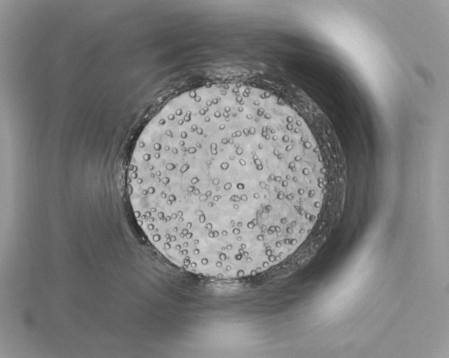 X0000115140767200912081326