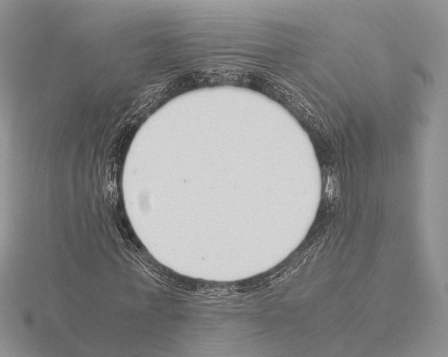 X0000115140771200912081325