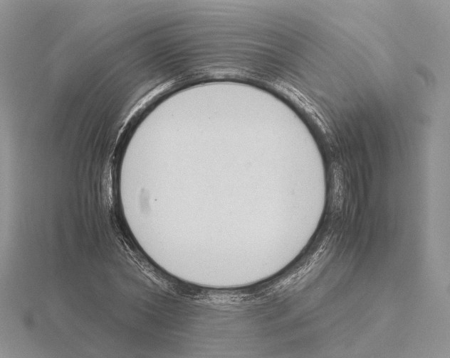 X0000115140782200912081325