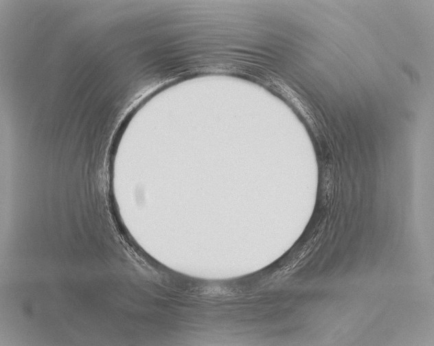 X0000115140787200912081325