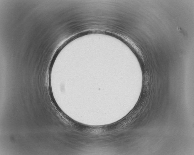 X0000115140791200912081325