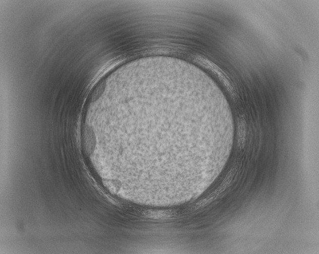 X0000115140794200912081325