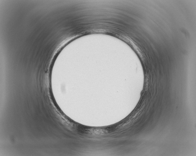 X0000115140795200912081325
