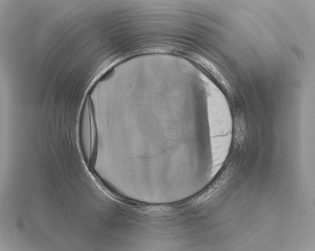 X0000115140802200912081325